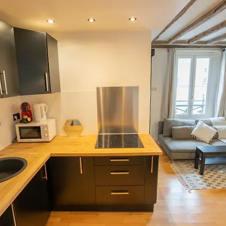 Grand Loft Bien Equipe A 15 - 2p - Flat-guest Apartment *