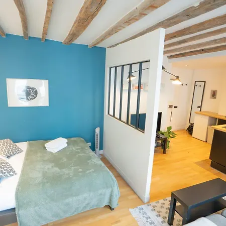Grand Loft Bien Equipe A 15 - 2p - Flat-guest Apartment *